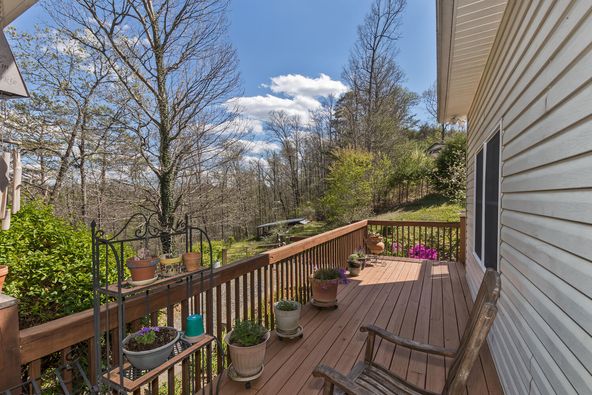 Moonlight Spa and Retreat: 129 Moonlight Dr, Sylva, NC 28779